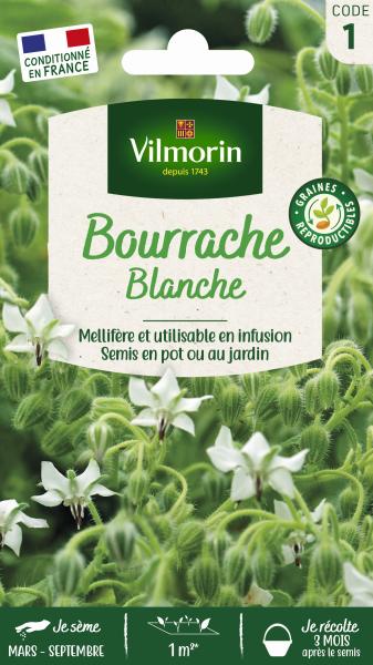 Aromatiques - Bourrache Blanche - PACKAGING_RECTO